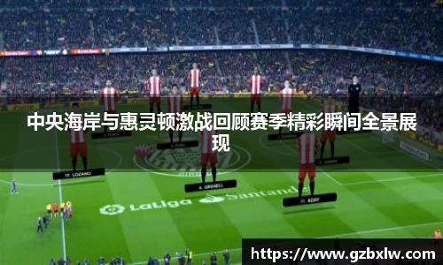 中央海岸与惠灵顿激战回顾赛季精彩瞬间全景展现
